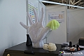 VBS_8245 - A&T Automation & Testing 2024